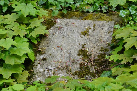 Bad Godesberg